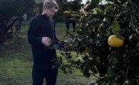 De Bruyne si rilassa raccogliendo limoni. La moglie: Sono enormi