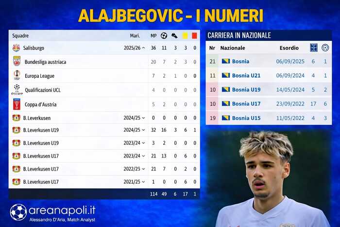 alajbegovic numeri