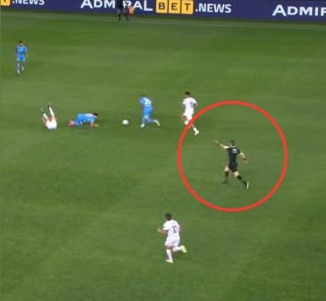 Parma-Napoli, posizione arbitro (rigore)