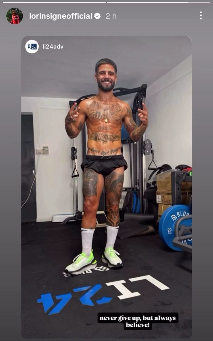 Insigne addominali