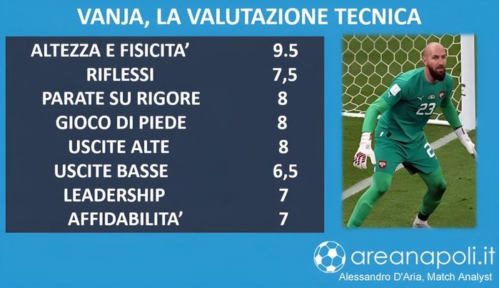 Savic grafica 2