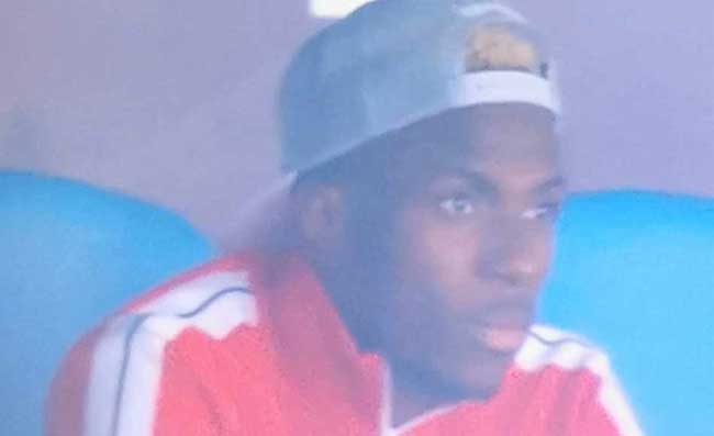 Napoli-Genoa, Osimhen si dispera in tribuna. Victor senza freni (VIDEO)