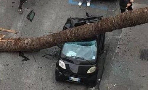 Forte vento a Napoli, cadono alberi e lampioni: situazione critica