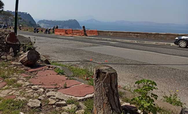 Napoli, solo 20 metri d'asfalto al posto dei pini di via Manzoni. Il degrado � totale