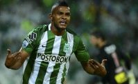TMW - Grande protagonista in Libertadores, ora Miguel Borja si offre al Napoli