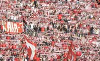Grecia, follia derby ad Atene: sospesa Panathinaikos-Olympiacos, tifosi in campo armati