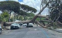 Albero crolla su un furgone a Posillipo