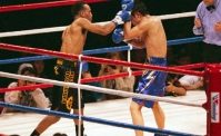 Maxim Dadashev � morto, gravissimo lutto nella boxe: fatali le ferite di un incontro
