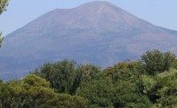 Va a cercare funghi sul Vesuvio, uomo sbranato a morte da cani e cinghiali