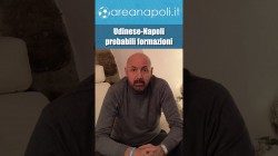Udinese-Napoli probabili formazioni, il turnover impossibile