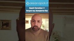 Napoli-Fiorentina: 2-1, il commento. Vergara migliore in campo