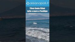 Tifosi Bodo/Glimt, tuffo a mare a Posillipo